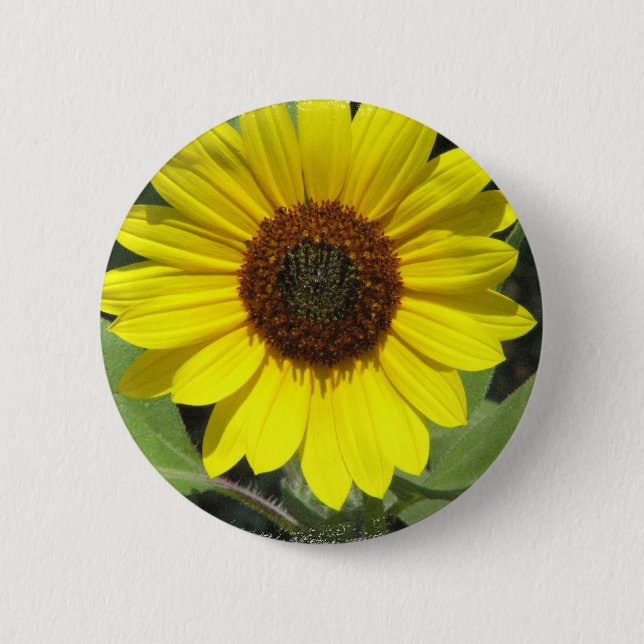 Sonnenblume-Pflanzen-runder Knopf Button (Vorderseite)