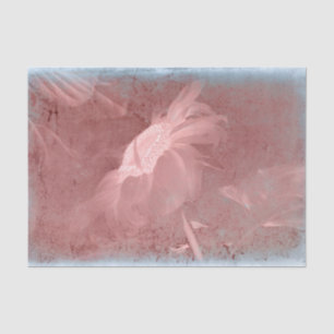 Sonnenblume Pink Grau Vintage Antik Alte Textur Seidenpapier