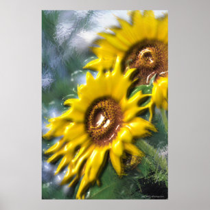 Sonnenblume-Plakat Poster