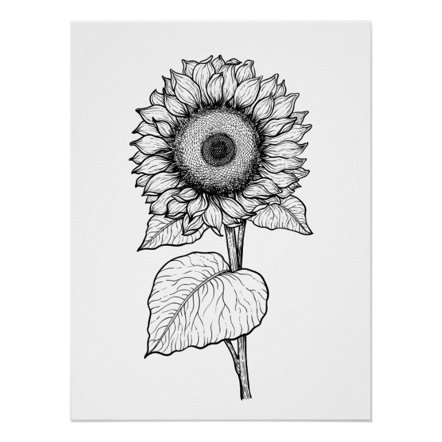 Sonnenblume Poster (Vorderseite)