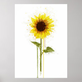 Sonnenblume Poster