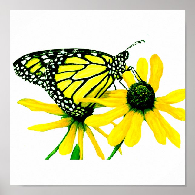 Sonnenblume Poster (Vorne)