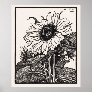 Sonnenblume Poster