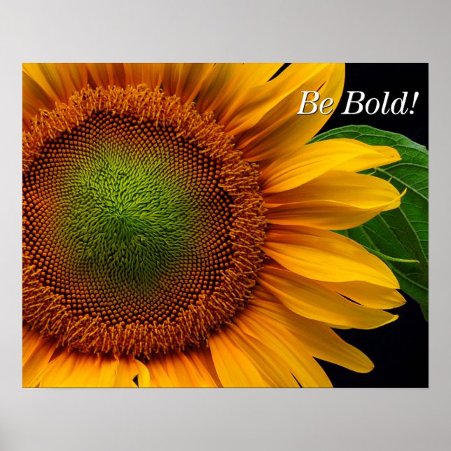 Sonnenblume Poster (Vorne)