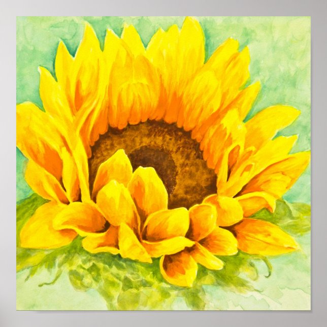 Sonnenblume Poster (Vorne)