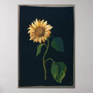 Sonnenblume Poster