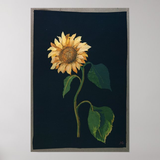 Sonnenblume Poster (Vorne)