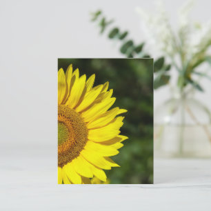 Sonnenblume Postkarte