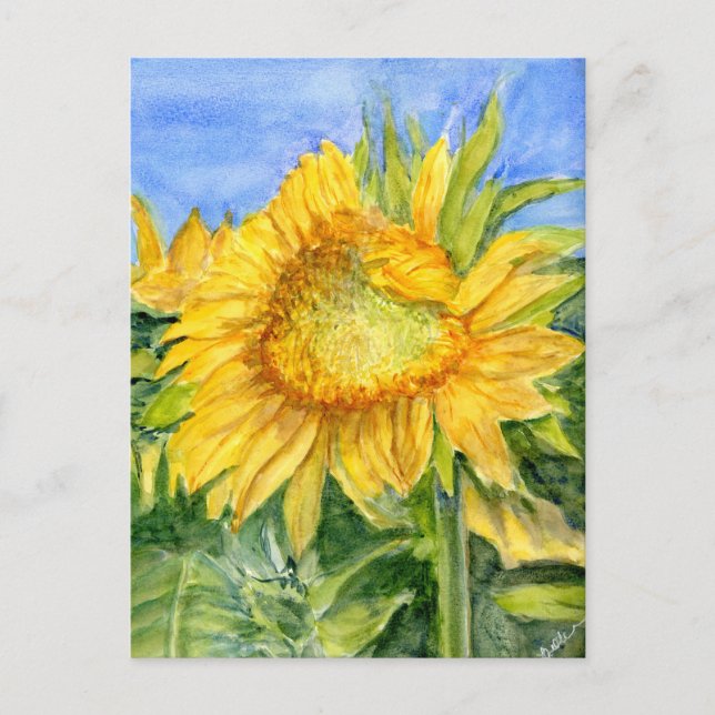 Sonnenblume Postkarte (Vorderseite)