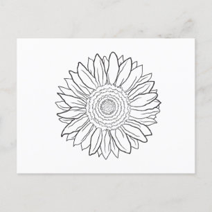Sonnenblume Postkarte