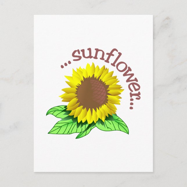 Sonnenblume Postkarte (Vorderseite)