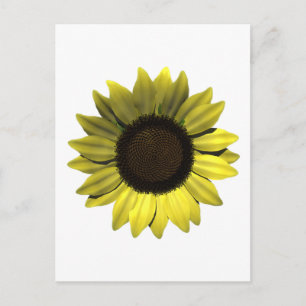 Sonnenblume Postkarte