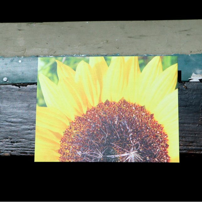 Sonnenblume Postkarte (Von Creator hochgeladen)