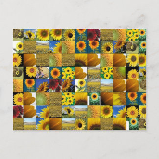 Sonnenblume Postkarte