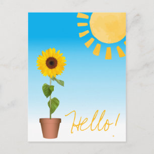 Sonnenblume Postkarte
