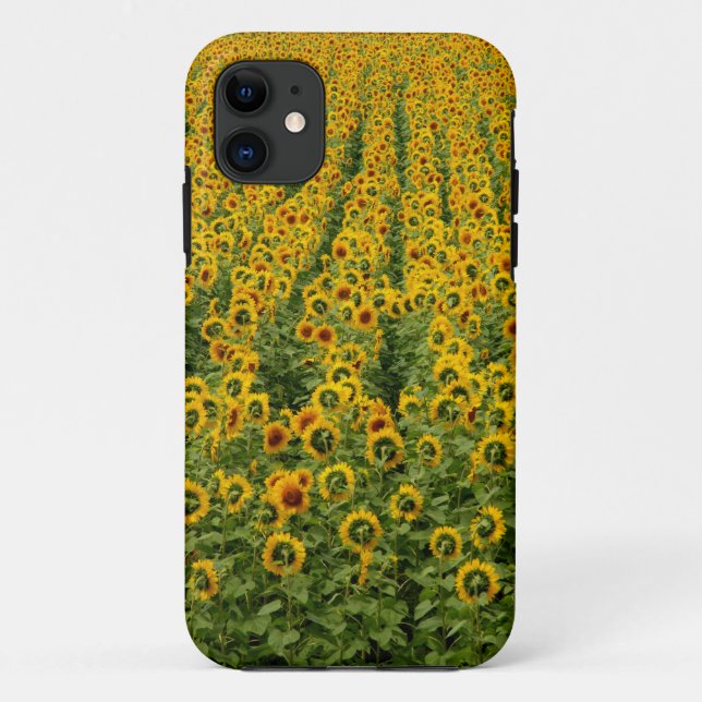 Sonnenblume-Power iPhone Fall Case-Mate iPhone Hülle (Rückseite)