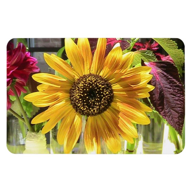 Sonnenblume Premium Flexi Magnet (Horizontal)