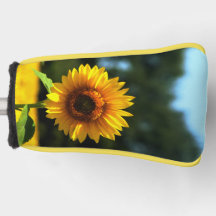 Sonnenblume Putter