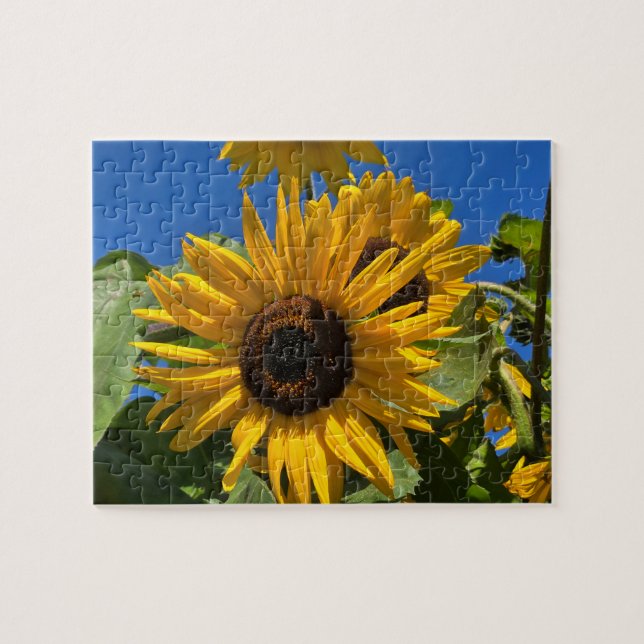 Sonnenblume Puzzle (Horizontal)