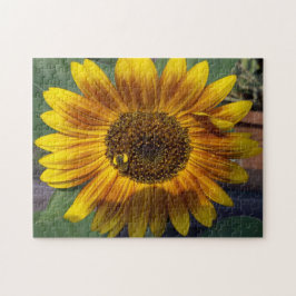 Sonnenblume Puzzle