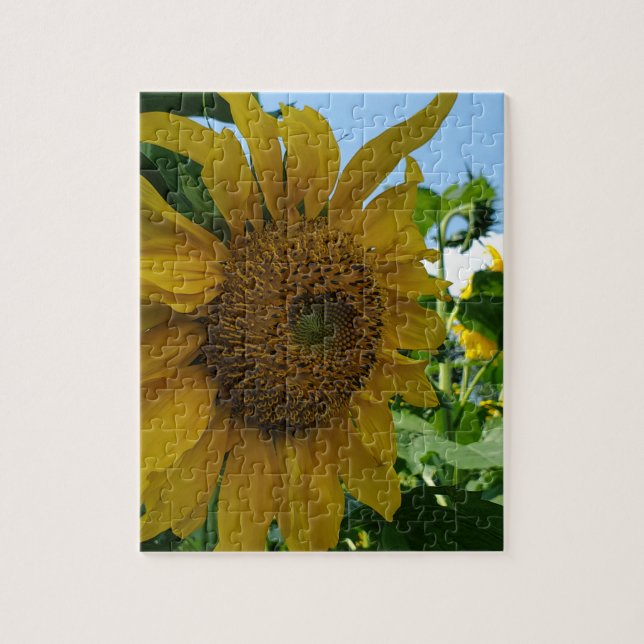Sonnenblume Puzzle (Vertikal)