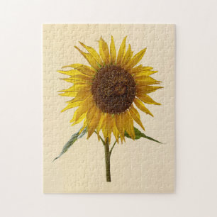 Sonnenblume Puzzle