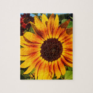 Sonnenblume Puzzle