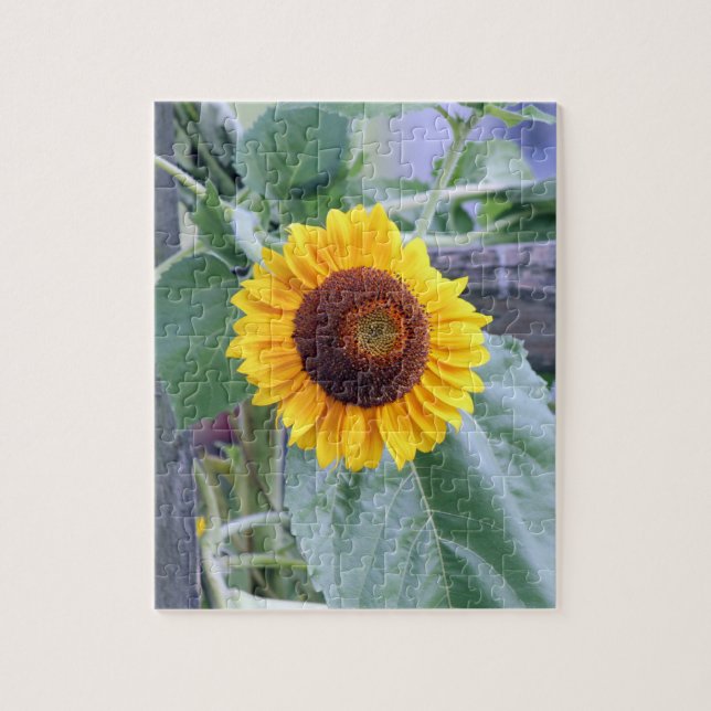Sonnenblume Puzzle (Vertikal)