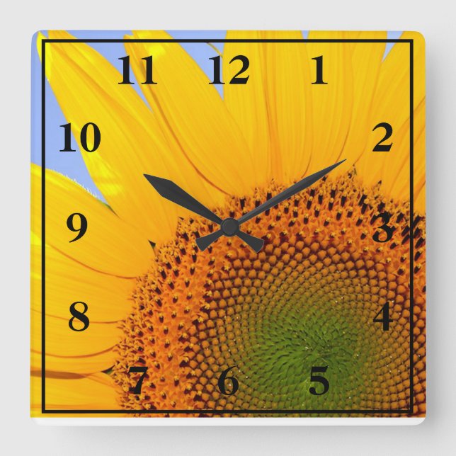 Sonnenblume Quadratische Wanduhr (Vorderseite)