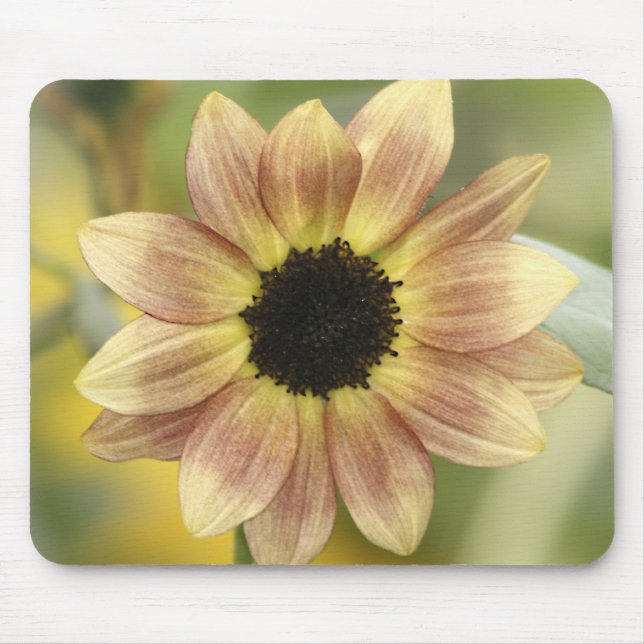 Sonnenblume-Rost-Mausunterlage Mousepad (Vorne)