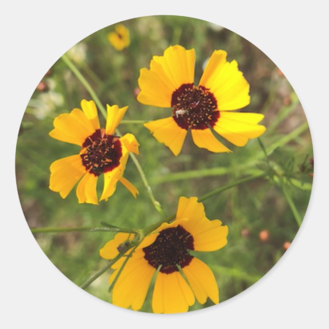 Sonnenblume Runder Aufkleber (Vorderseite)