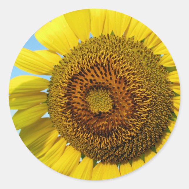 Sonnenblume Runder Aufkleber (Vorderseite)
