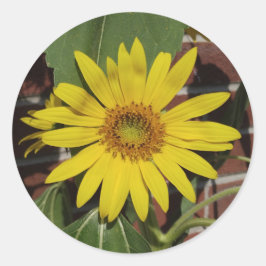 Sonnenblume Runder Aufkleber