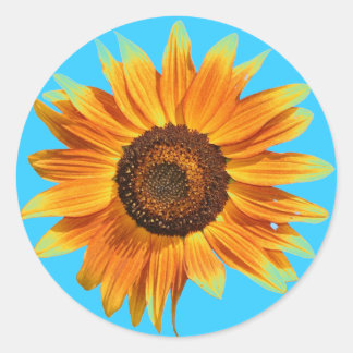 Sonnenblume Runder Aufkleber
