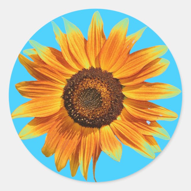 Sonnenblume Runder Aufkleber (Vorderseite)