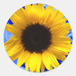 Sonnenblume Runder Aufkleber