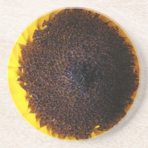 Sonnenblume Sandstein Untersetzer
