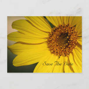 Sonnenblume Save the Date Postkarte