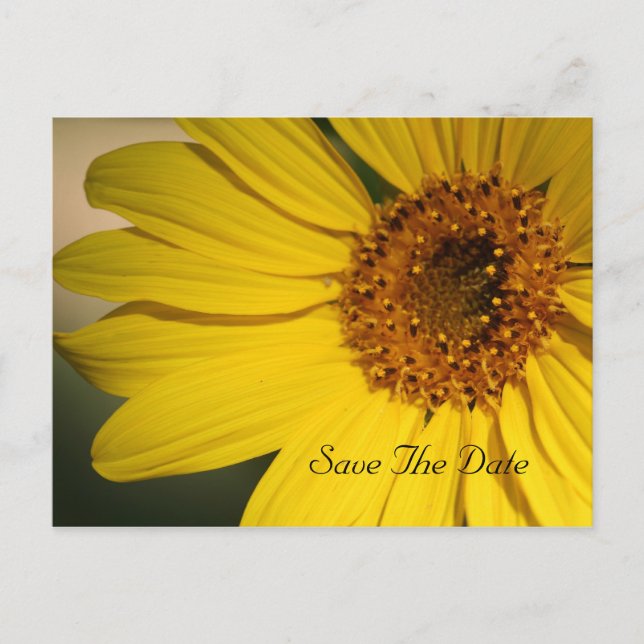 Sonnenblume Save the Date Postkarte (Vorderseite)