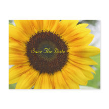 Sonnenblume Save the Date Postkarte