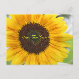 Sonnenblume Save the Date Postkarte