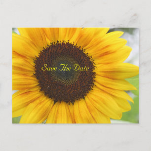 Sonnenblume Save the Date Postkarte