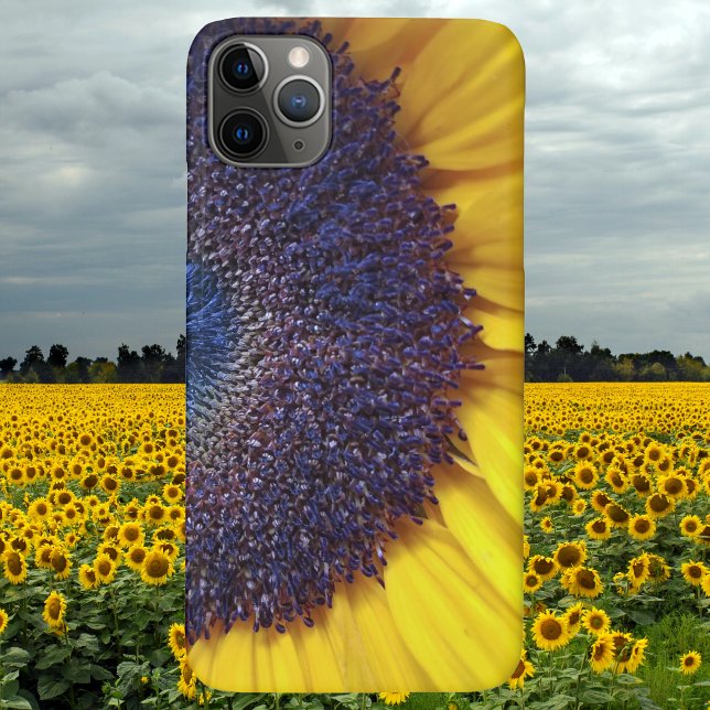 Sonnenblume schließen selten gibt es Handy-Fall Case-Mate iPhone Hülle (Von Creator hochgeladen)