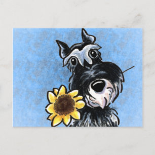 Sonnenblume Schnauzer Off-Leash Art™ Postkarte