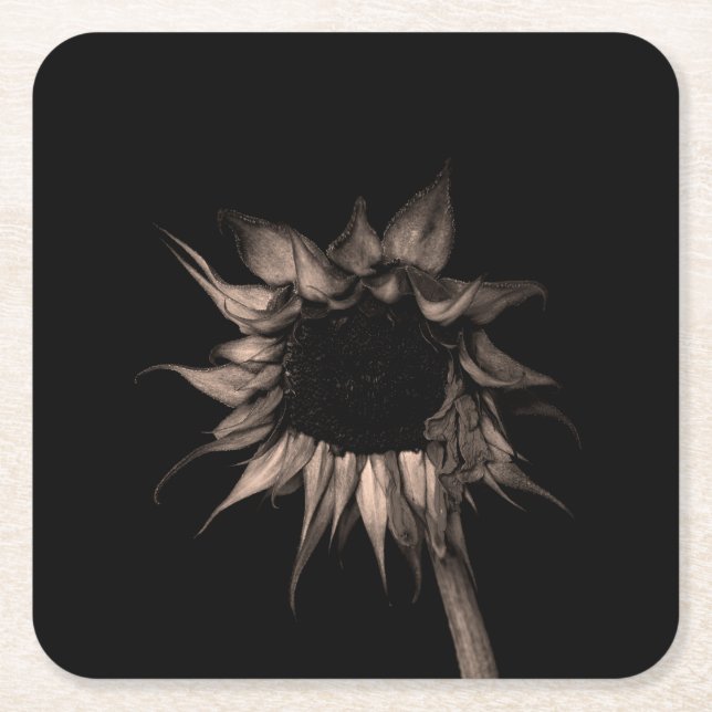 Sonnenblume - Schöne Coole Kunst Rechteckiger Pappuntersetzer (Vorderseite)