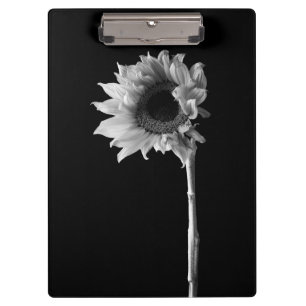 Sonnenblume - Schwarz-Weiß-Foto Klemmbrett