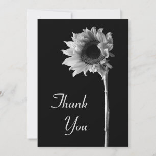 Sonnenblume Schwarz-Weiß-Fotografie Danke