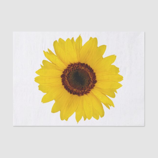 Sonnenblume Seidenpapier (Vorderseite)