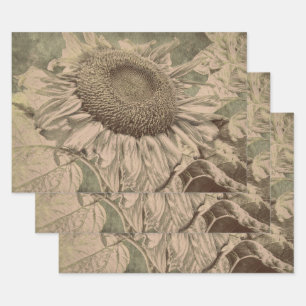 Sonnenblume Sepia-Ton Braune Kunst Textur Decoupag Geschenkpapier Set