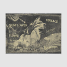 Sonnenblume Sepia Vintag Antique Ephemera Textur